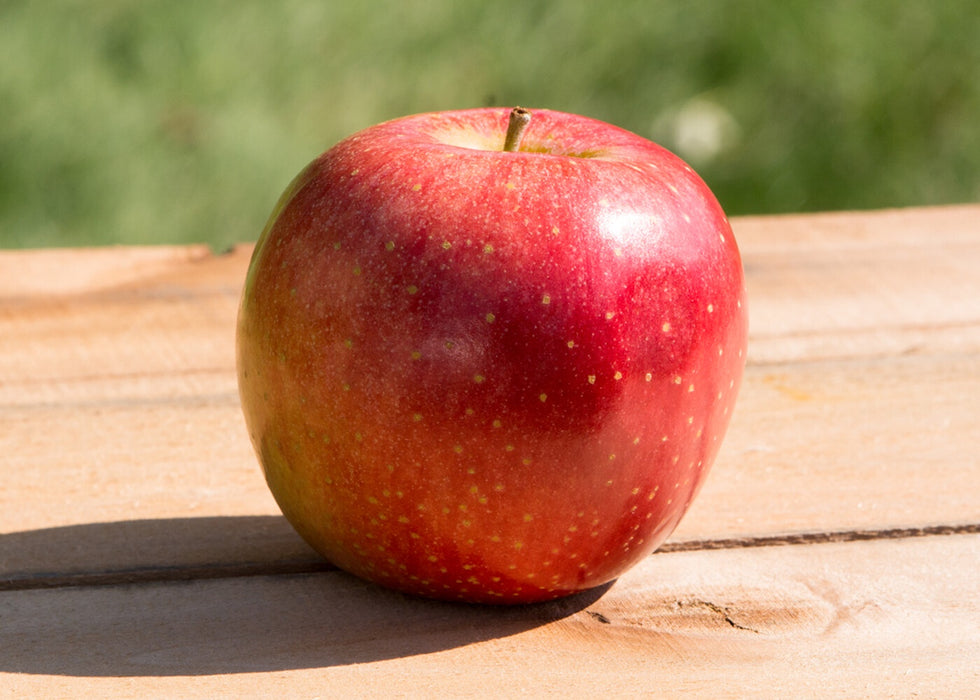 Apples, Crimson Topaz