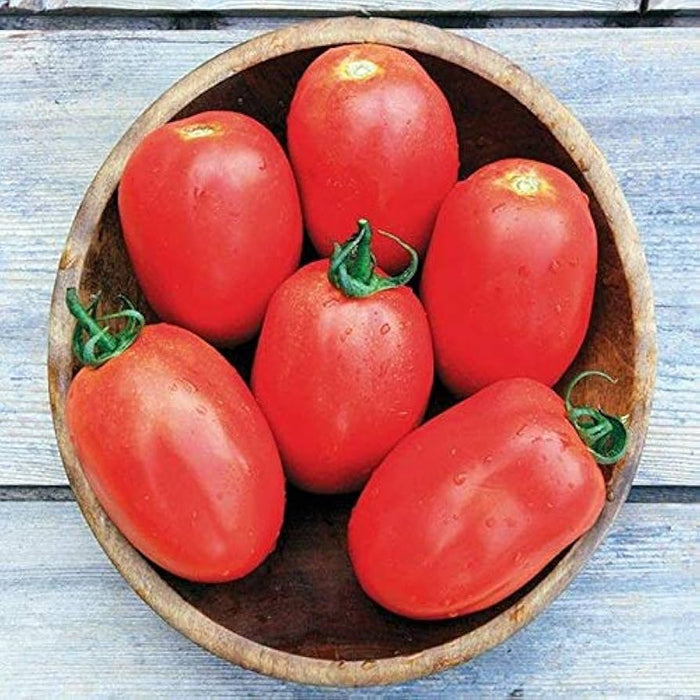 Tomatoes, Roma