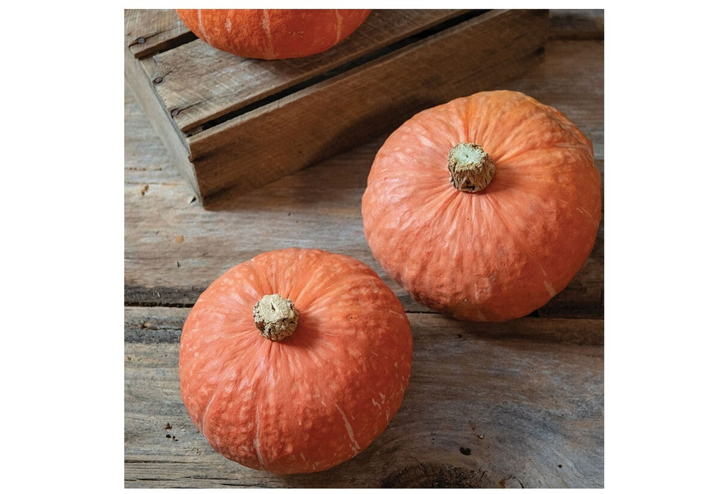 Squash, Kabocha (Marmalade)