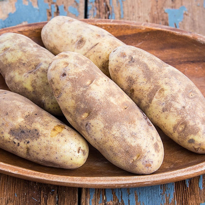 Potatoes, Russet