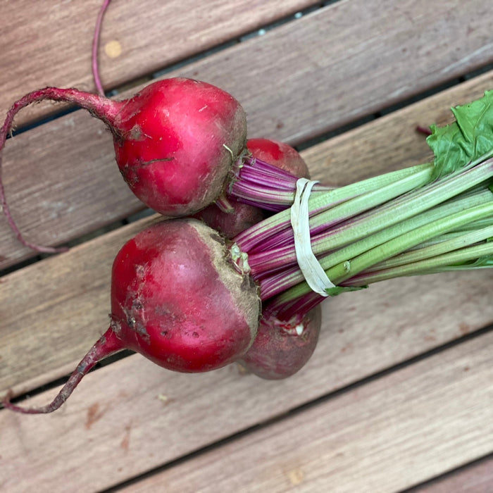 Beets, Red - Fog Town Farm