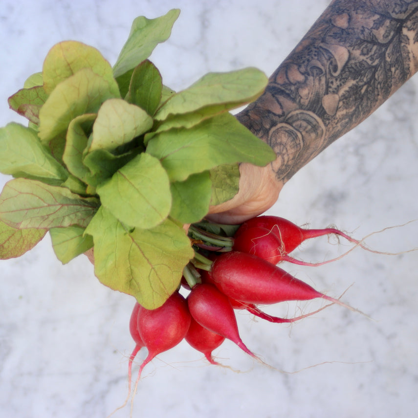 Radishes, Red (Bunch)