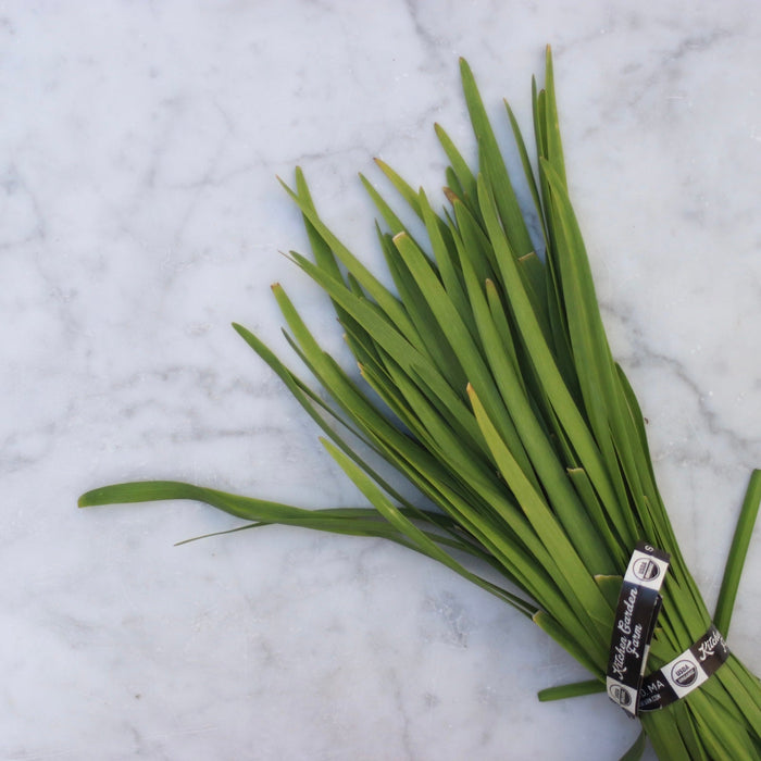 Garlic Chives