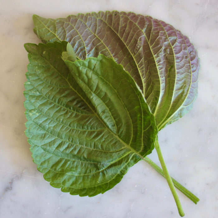 Shiso, Green