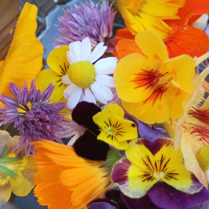 Edible Flower Box