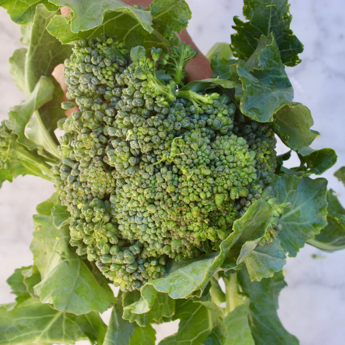 Broccoli Crown (by Weight)