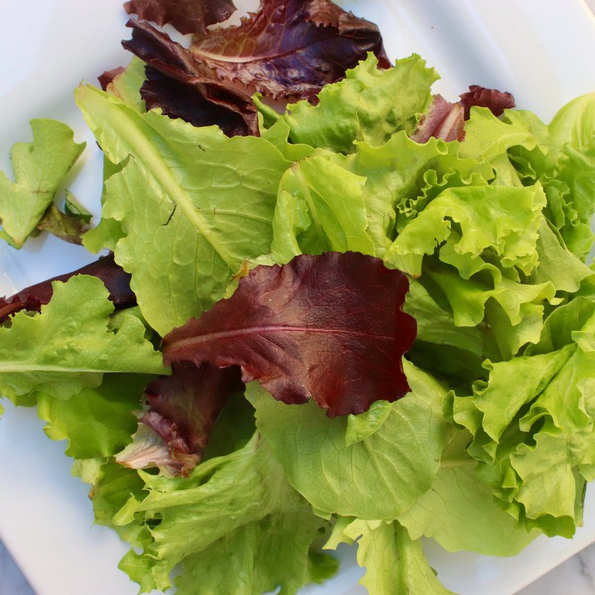 Salad Greens: Lettuce Mix - Washashore