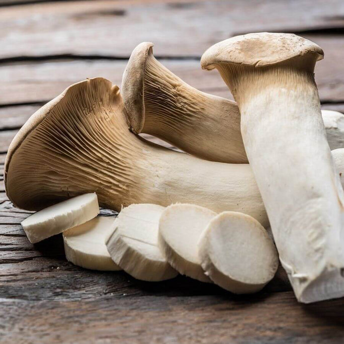 Mushrooms - King Oyster