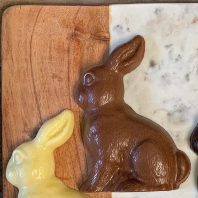 Tavernier: Solid Milk Chocolate Rabbits