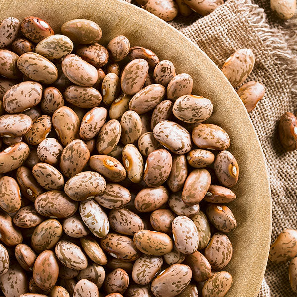 BULK: Pinto Beans