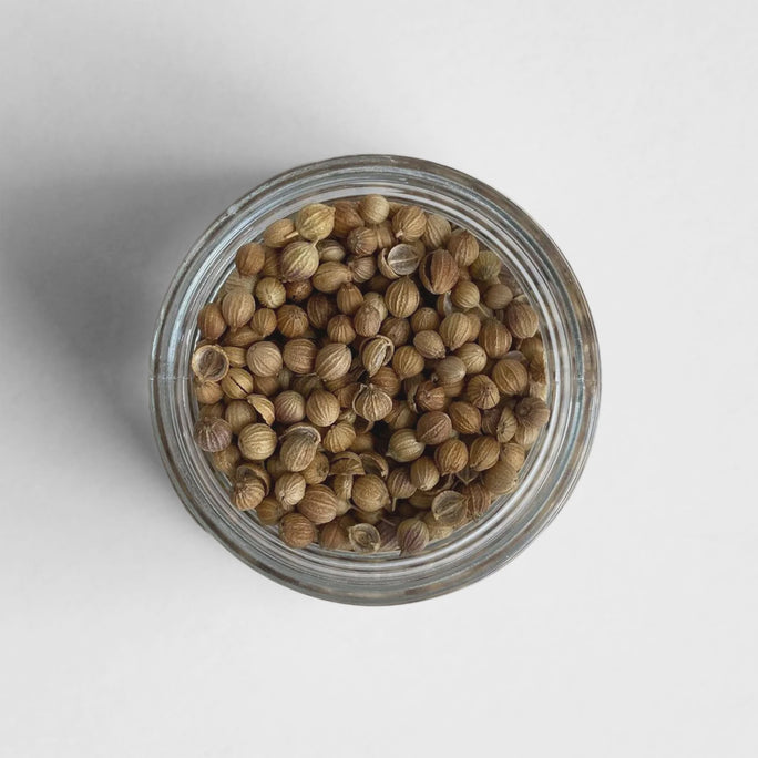 BULK: Coriander Seeds (per OZ)