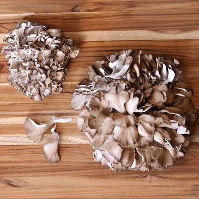 Mushrooms - Maitake
