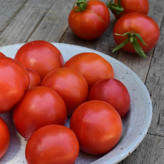 Tomatoes, Organic Red (Greenhouse)