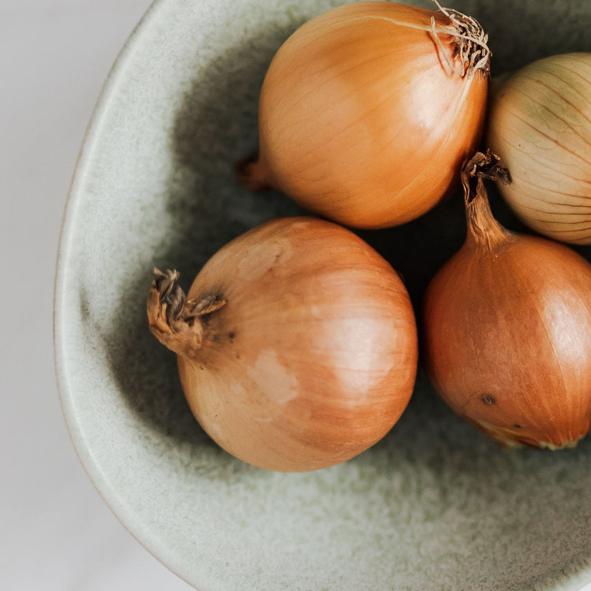 Onions, Spanish
